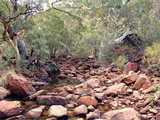 kamienie rzeczne naturalna tekstura spokój uważność